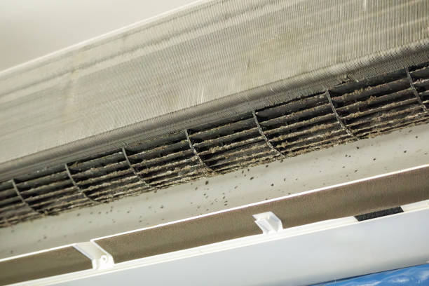 Best Commercial Air Duct Cleaning  in Winthrop Harbor, IL